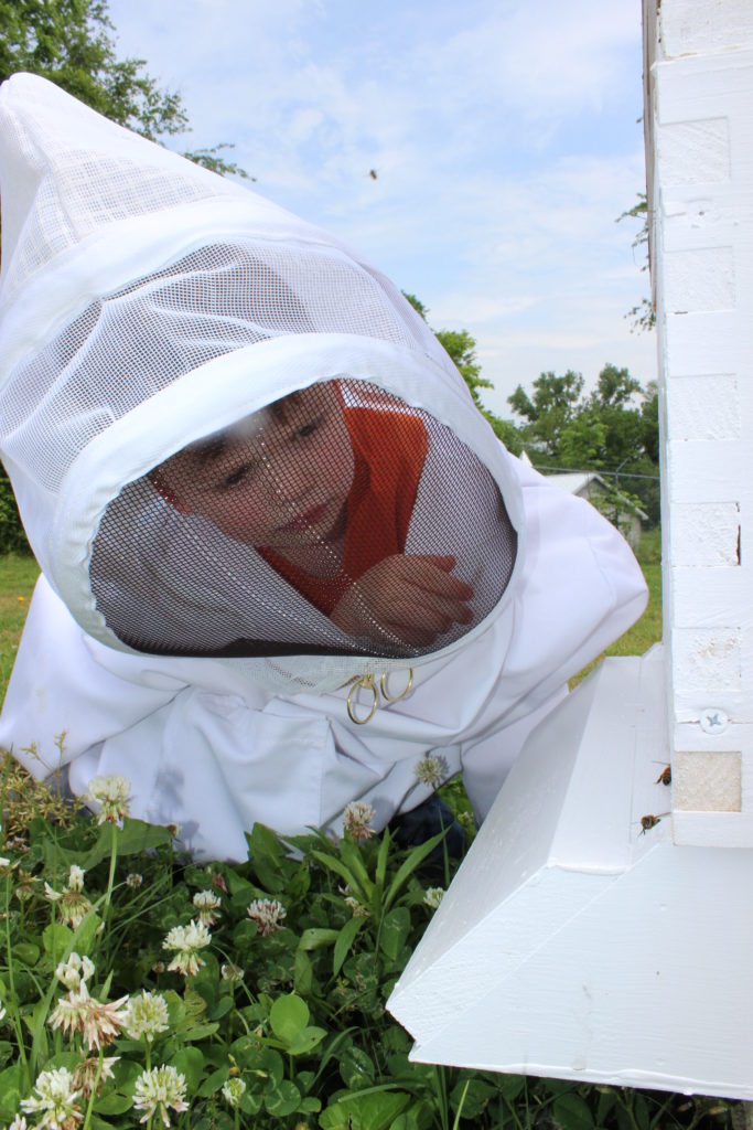 Getting Started Beekeeping
